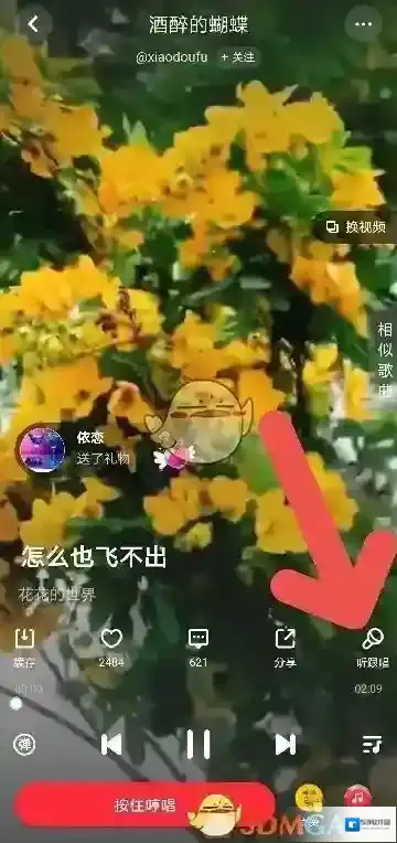 快音在你