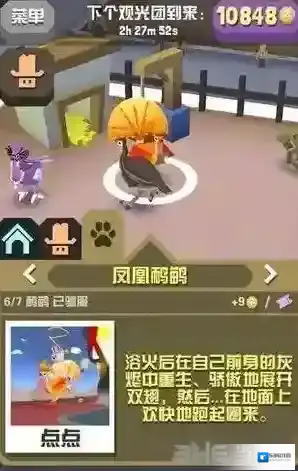 疯狂动物园鸸鹋