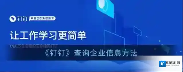 钉钉查询企业信息