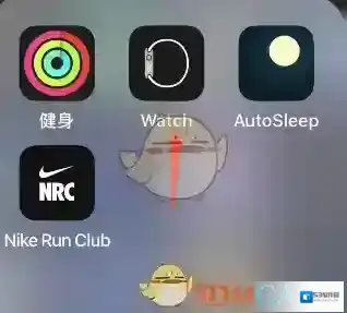 睡眠专家手表