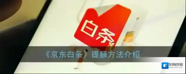 京东白条额度