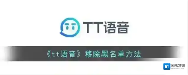 tt语音功能