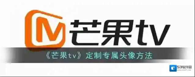 芒果TV定制