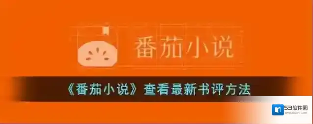 番茄小说书评
