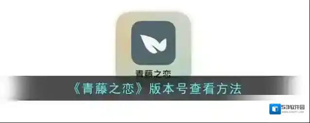 青藤之恋版本号