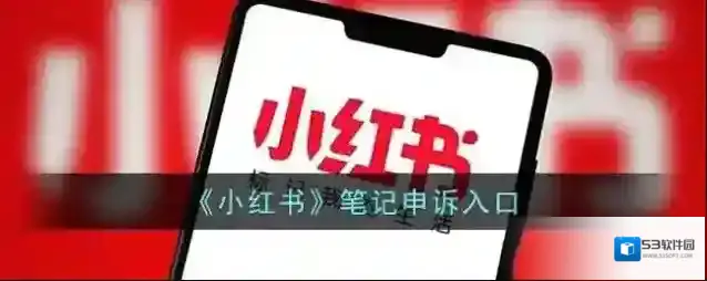 小红书就可以了