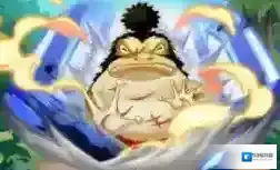 航海王强者之路白金