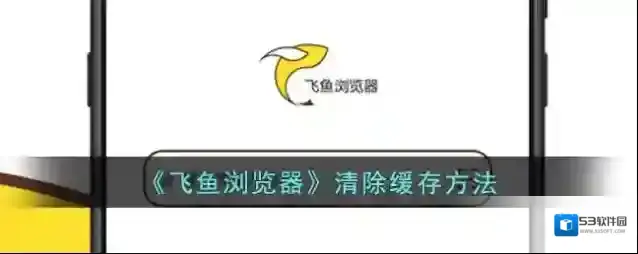 飞鱼浏览器清除缓存