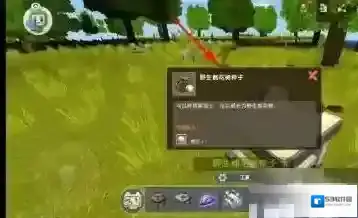 迷你世界树种子